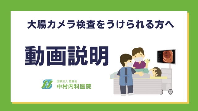 説明動画